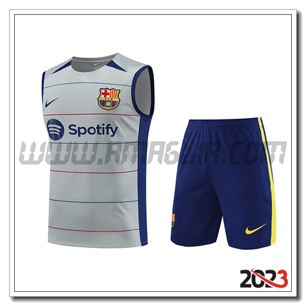 Kit Canotta Allenamento + Pantalonicinis FC Barcellona Grigio 2023 2024 -03