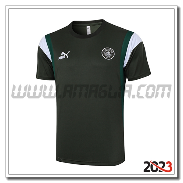 T Shirt Allenamento Manchester City Grigio 2023 2024 -02