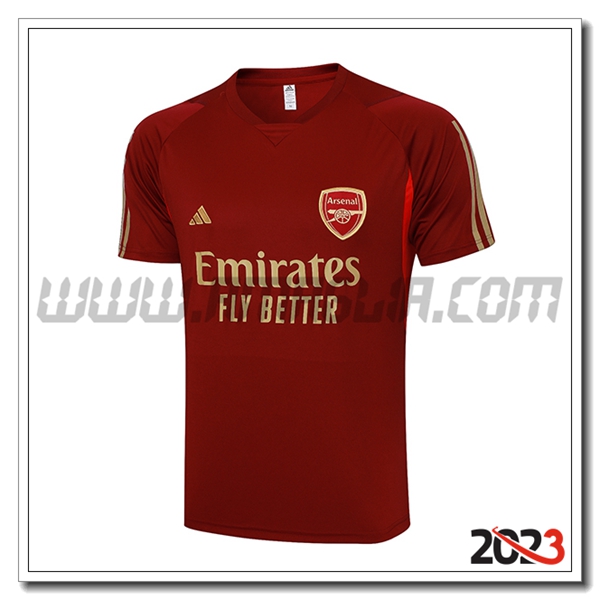 T Shirt Allenamento Arsenal Rosso 2023 2024 -05