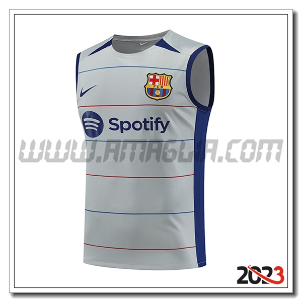 Canotta Allenamento FC Barcellona Grigio 2023 2024 -03