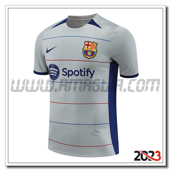 T Shirt Allenamento FC Barcellona Grigio 2023 2024 -03