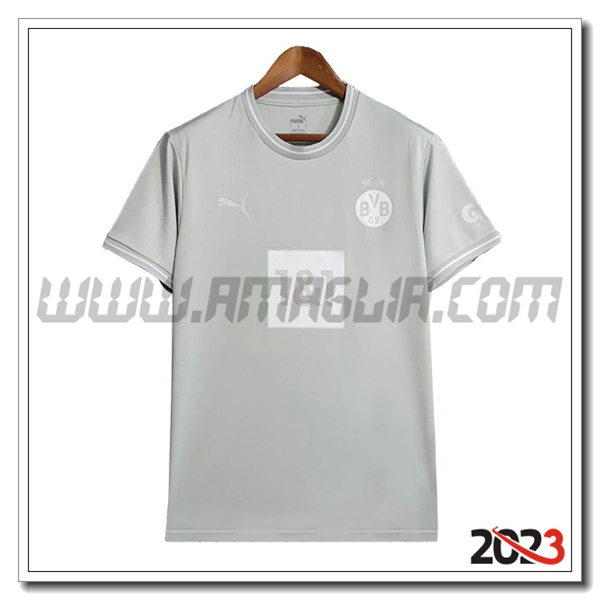 T Shirt Allenamento Dortmund Grigio 2023 2024