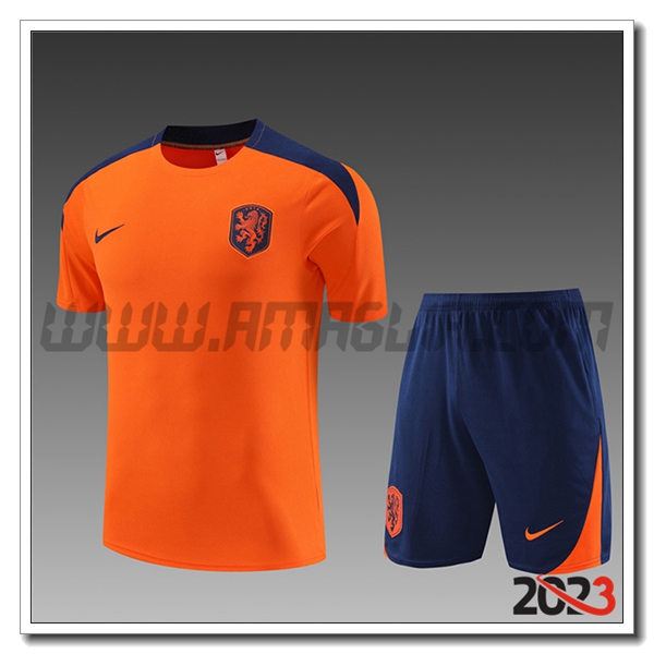 Kit Maglia Allenamento + Pantaloncini Paesi Bassi Bambino Arancia 2023 2024
