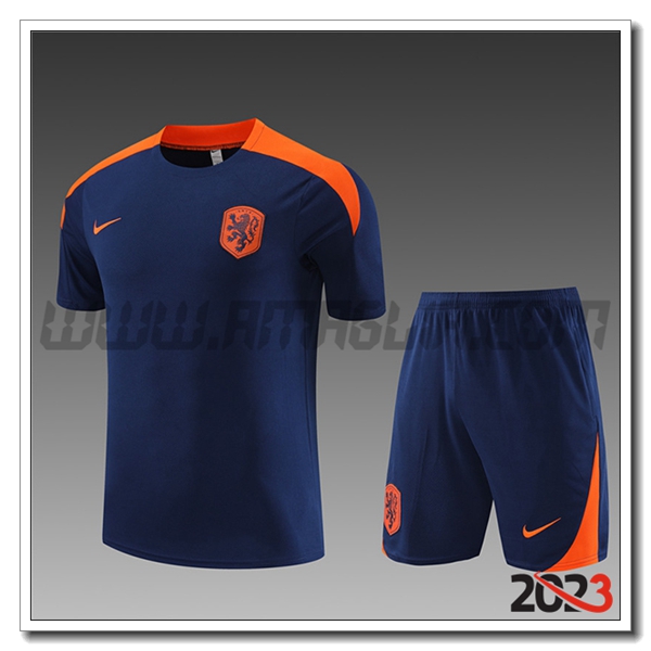 Kit Maglia Allenamento + Pantaloncini Paesi Bassi Bambino blu marina 2023 2024