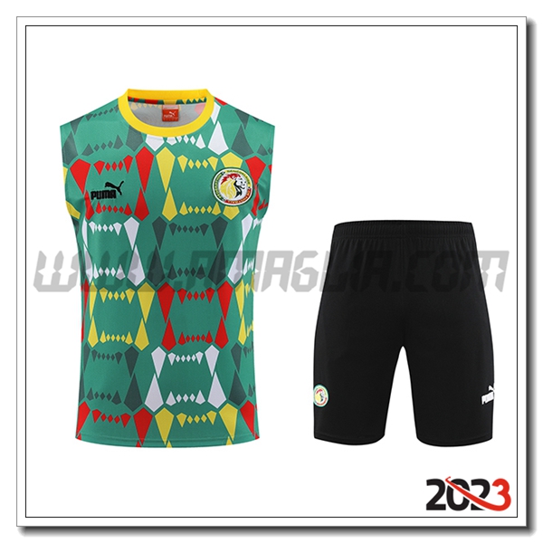 Kit Canotta Allenamento + Pantaloncini S茅n茅gal Verde/Nero 2023 2024