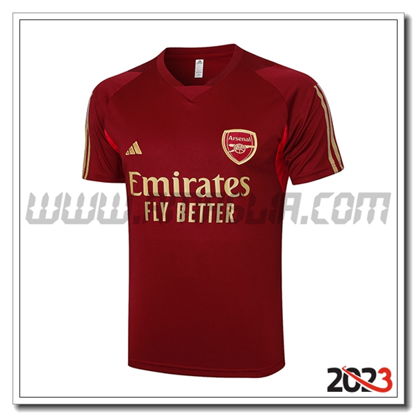 T Shirt Allenamento Arsenal Rosso 2023 2024 -06
