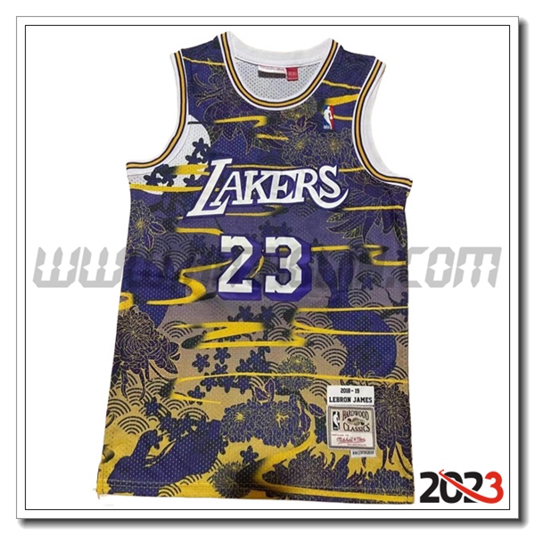 Maglia Los Angeles Lakers (JAMES #23) 2023/24 viola/Giallo