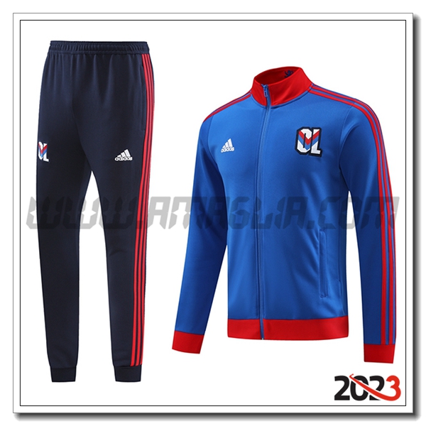 Tuta Allenamento Giacca Lione Rosso/Blu 2023 2024
