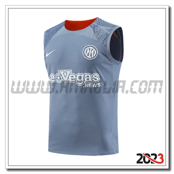 Canotta Allenamento Inter Milan Grigio/Arancia 2023 2024