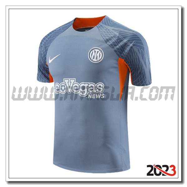 T Shirt Allenamento Inter Milan Grigio/Arancia 2023 2024