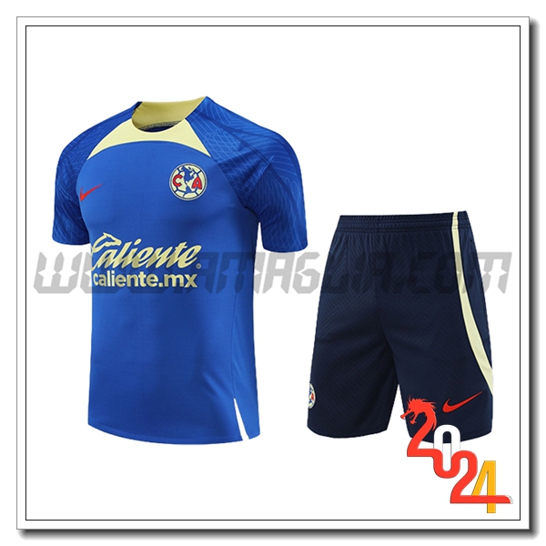 Kit Maglia Allenamento + Pantaloncini Club America Blu/Verde 2024/2025