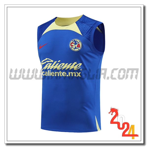 Canotta Allenamento Club America Blu/Verde 2024/2025