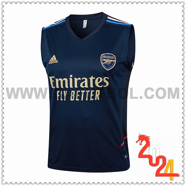 Canotta Allenamento Arsenal Blu Scuro 2024 2025