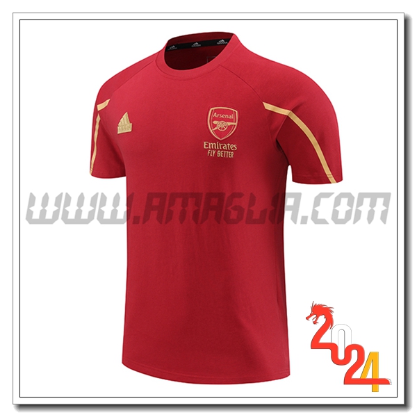T Shirt Allenamento Arsenal Rosso/Giallo 2024 2025