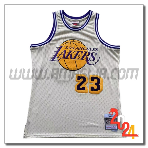 Maglia Los Angeles Lakers (JAMES #23) 2024/25 Beige/viola/Giallo
