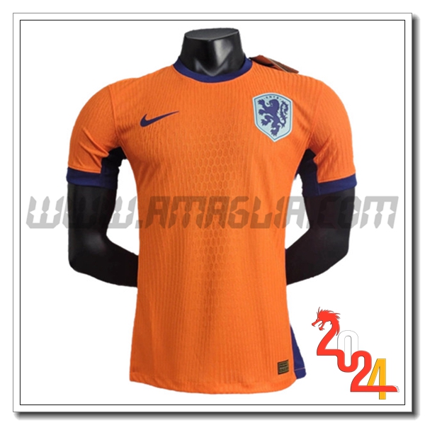 Maglia Squadra Paesi Bassi Prima 2024 2025 Arancia
