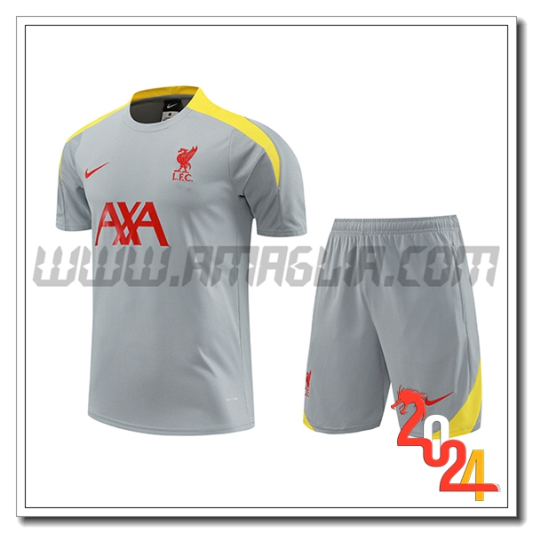 Kit Maglia Allenamento + Pantaloncini FC Liverpool Grigio/Rosso/Giallo 2024 2025