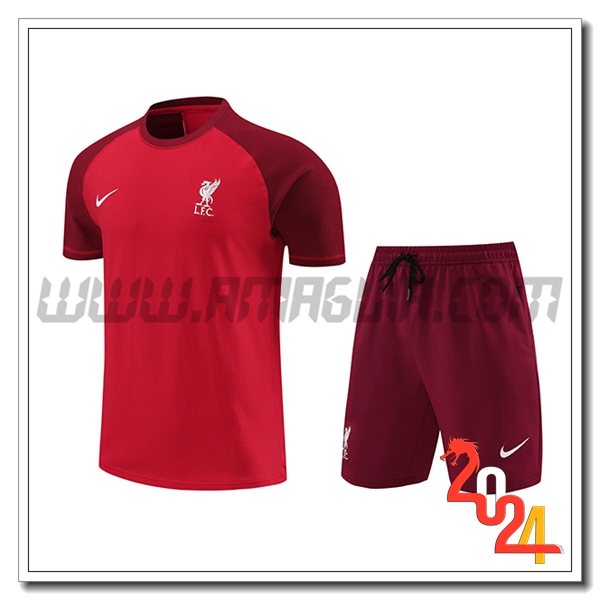 Kit Maglia Allenamento + Pantaloncini FC Liverpool Rosso 2024 2025
