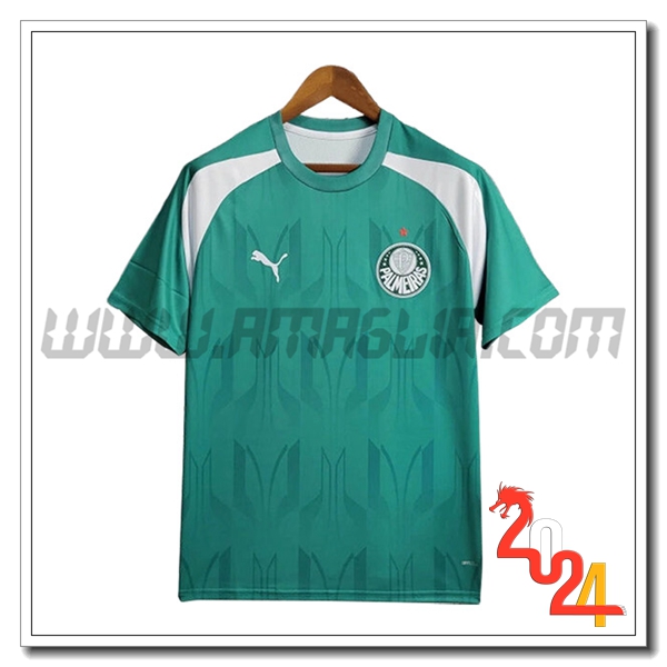 T Shirt Allenamento Palmeiras Verde/Bianco 2024 2025