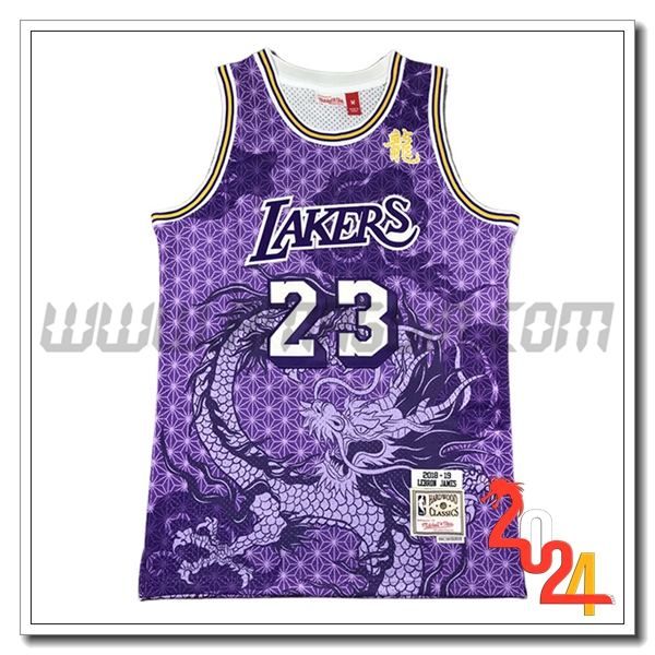 Maglia Los Angeles Lakers (JAMES #23) 2024/25 viola