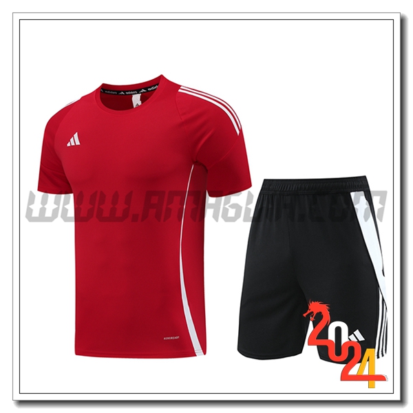Kit Maglia Allenamento + Pantaloncini Adidas Rosso 2024 2025