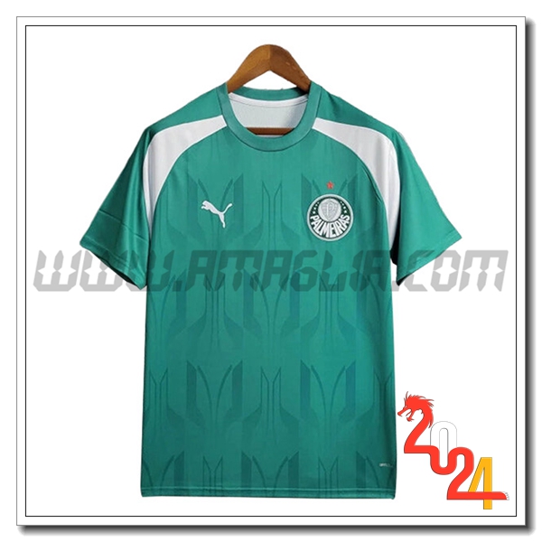 T Shirt Allenamento Palmeiras Verde/Bianco 2024 2025