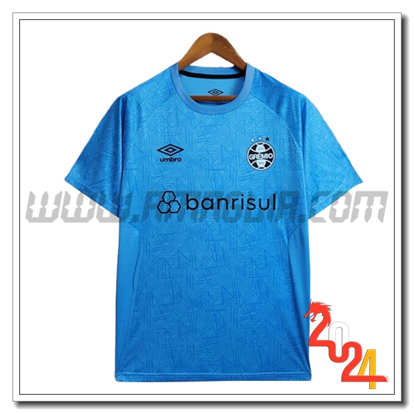 T Shirt Allenamento Gremio Blu 2024 2025