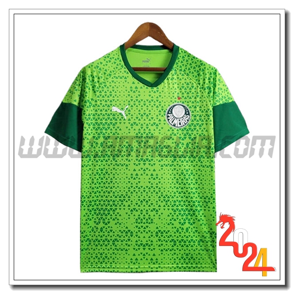 T Shirt Allenamento Palmeiras Verde 2024 2025