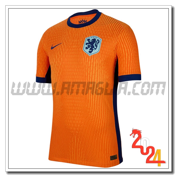 Paesi Bassi Prima Nuovo Maglia Squadra 2024 2025 Arancia