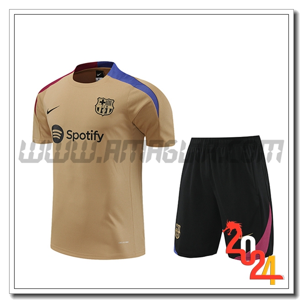 Kit Maglia Allenamento + Pantaloncini FC Barcellona Marrone 2024 2025