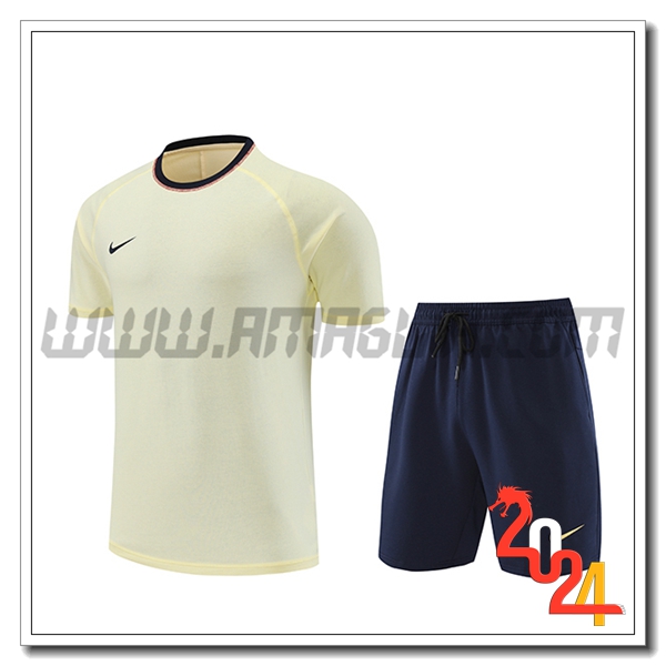 Kit Maglia Allenamento + Pantaloncini Nike Beige 2024 2025