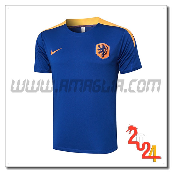 T Shirt Allenamento Paesi Bassi Blu/Giallo 2024 2025