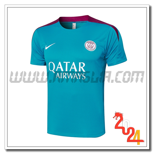 T Shirt Allenamento PSG Verde/viola 2024 2025