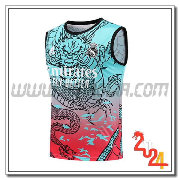 Canotta Allenamento Real Madrid Verde/Rosso 2024 2025