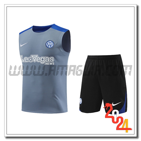Kit Canotta Allenamento Inter Milan Grigio/Blu 2024 2025