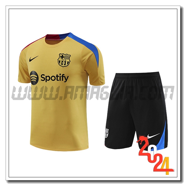 T Shirt Allenamento FC Barcellona Giallo/Blu/Rosso 2024 2025