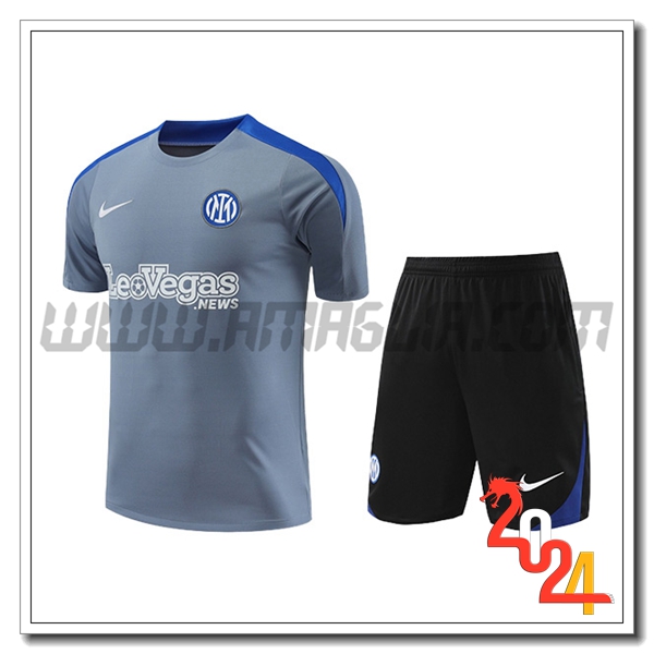 T Shirt Allenamento Inter Milan Grigio/Blu 2024 2025