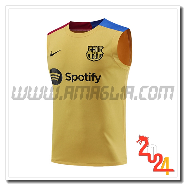 Canotta Allenamento FC Barcellona Giallo/Blu/Rosso 2024 2025