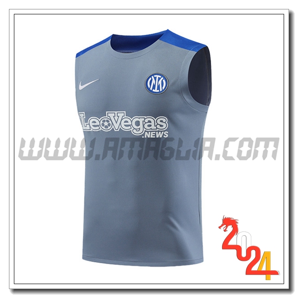Canotta Allenamento Inter Milan Grigio/Blu 2024 2025