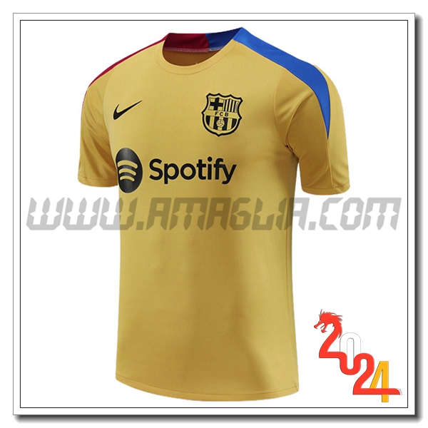 T Shirt Allenamento FC Barcellona Giallo/Blu/Rosso 2024 2025