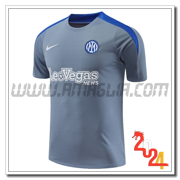 T Shirt Allenamento Inter Milan Grigio/Blu 2024 2025