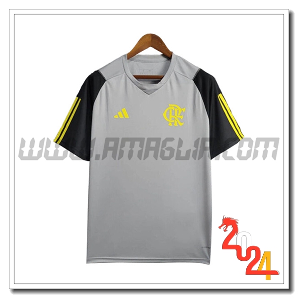 T Shirt Allenamento Flamengo Grigio/Giallo 2024 2025