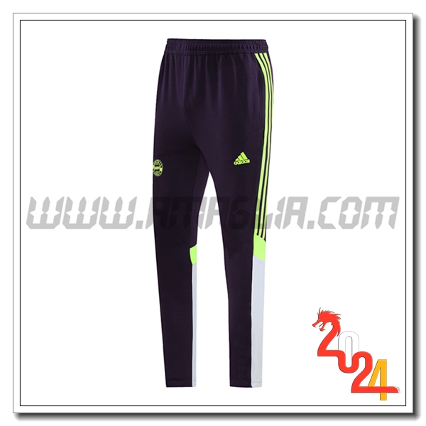 Pantaloni Da Allenamento Bayern Monaco Nero/Grigio/Verde 2024 2025