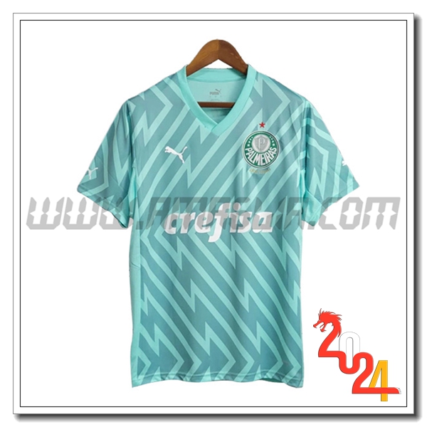 Maglia Calcio Portiere Palmeiras 2024 2025 Verde