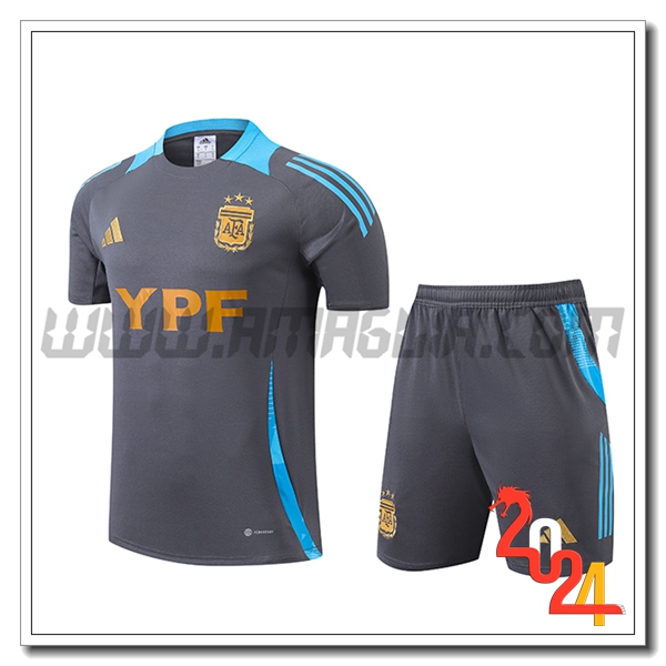 Kit Maglia Allenamento Argentina Grigio/Blu 2024 2025