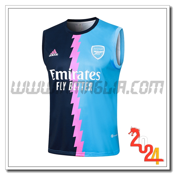 Canotta Allenamento Arsenal Blu/Rosa 2024 2025