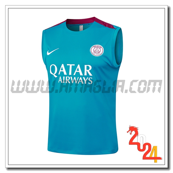 Canotta Allenamento PSG Verde 2024 2025