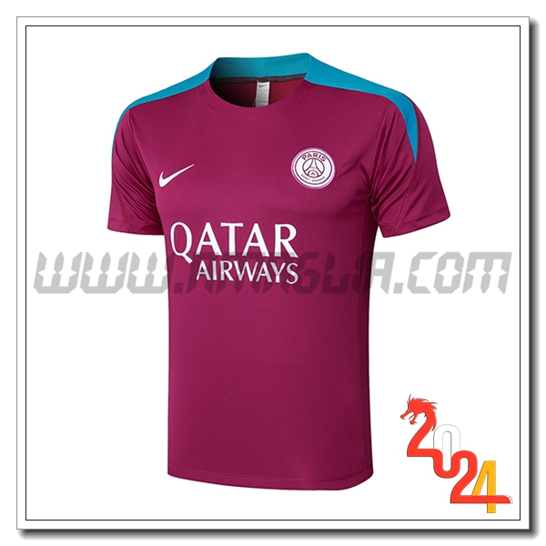 T Shirt Allenamento PSG viola/Blu 2024 2025