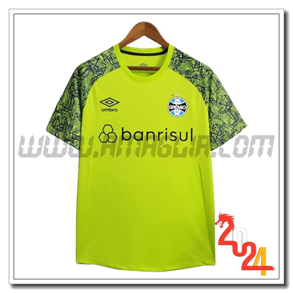 T Shirt Allenamento Gremio Giallo/Verde 2024 2025