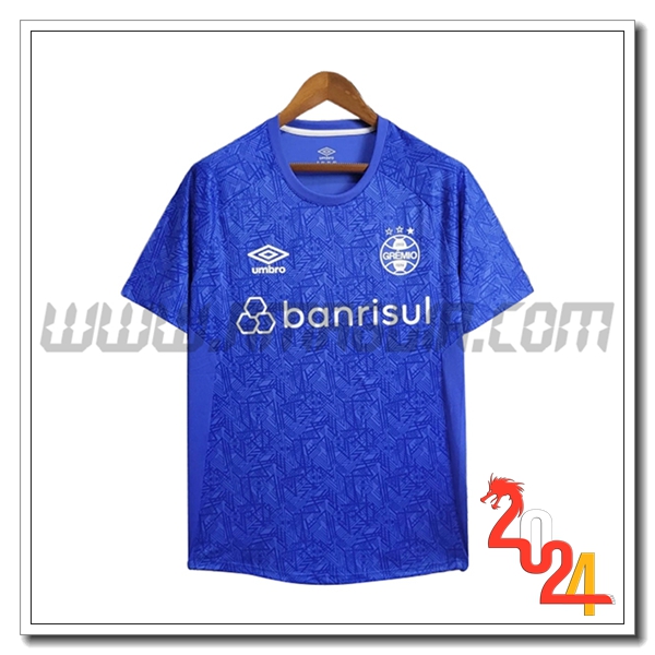 T Shirt Allenamento Gremio Blu 2024 2025